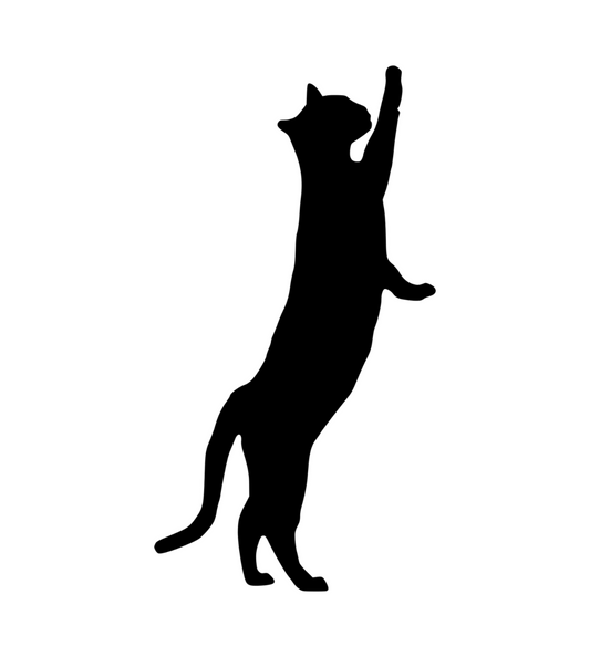 Reaching Cat Car Sticker